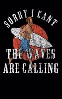 Sorry I Cant - The Waves Are Calling