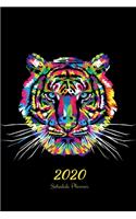 2020 Schedule Planner: Schedule & Notes Organizer - Calendar & Diary - Tel Info & Password Log - Perfect Size 6x9 inches - 128 Pages(42 Cool Planners)