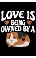 Love Is Being Owned By A