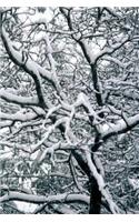 2019 Daily Planner Winter Theme Twisted Winter Branches 384 Pages: (Notebook, Diary, Blank Book)(2019 Planners Calendars Organizers Datebooks Appointment Books Agendas)
