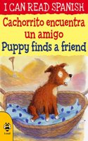 Cachorrito encuentra un amigo / Puppy finds a friend