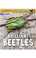 Brilliant Beetles