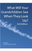 What Will Your Grandchildren See When They Look Up?