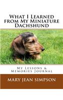 What I Learned from My Miniature Dachshund