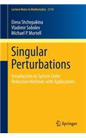 Singular Perturbations