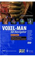 Voxel-Man 3D-Navigator