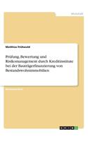Prüfung, Bewertung und Risikomanagement durch Kreditinstitute bei der Bauträgerfinanzierung von Bestandswohnimmobilien