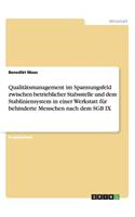 Qualitätsmanagement im Spannungsfeld zwischen betrieblicher Stabsstelle und dem Stabliniensystem in einer Werkstatt für behinderte Menschen nach dem SGB IX