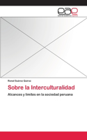 Sobre la Interculturalidad