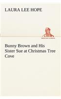 Bunny Brown and His Sister Sue at Christmas Tree Cove