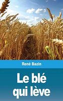 blé qui lève