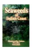 Seaweeds of the Indian Coast