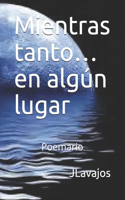 Mientras tanto...en algún lugar: Poemario