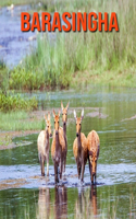 Barasingha