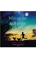 Where the Red Fern Grows