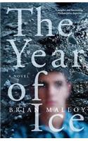 The Year of Ice