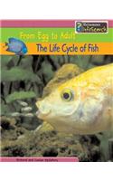 The Life Cycle of Fish