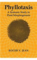 Phyllotaxis