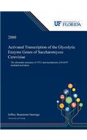 Activated Transcription of the Glycolytic Enzyme Genes of Saccharomyces Cerevisiae