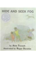 Hide and Seek Fog