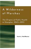 Wilderness of Marshes