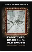 Families in Crisis in the Old South