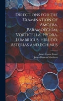 Directions for the Examination of Amoeba, Paramoecium, Vorticella, Hydra, Lumbricus, Hirudo, Asterias and Echinus