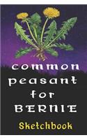 Common Peasant For Bernie Sketchbook