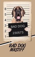 Bad Dog Mastiff