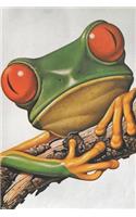 Vintage Frog Notebook
