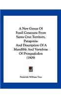 New Genus Of Fossil Cetaceans From Santa Cruz Territory, Patagonia