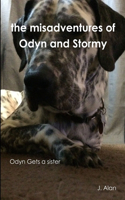 the Misadventures of Odyn and Stormy: (English)