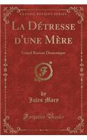 La Détresse d'Une Mère: Grand Roman Dramatique (Classic Reprint)