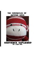 The Chronicles of Antoine Sock