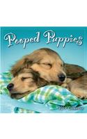 2019 Pooped Puppies Mini Calendar: By Sellers Publishing