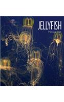 Jellyfish: Living Wild(Living Wild)