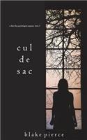 Cul de Sac (A Chloe Fine Psychological Suspense Mystery-Book 3): (3 Chloe Fine Psychological Suspense Mystery)