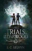 Trials of Ildarwood