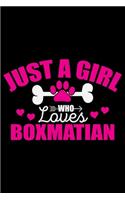 Just A Girl Who Loves Boxmatian