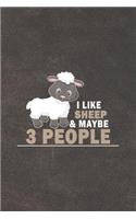 I Like Sheep & Maybe 3 People