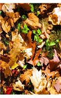 2020 Weekly Planner Fall Leaves Acorn Caps 134 Pages: 2020 Planners Calendars Organizers Datebooks Appointment Books Agendas