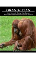 Orang-Utan: Faszinierende Orang-Utan Fakten für Kinder mit atemberaubenden Bildern!