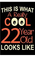 A Really Cool 22 Year Old: Blank Lined Journal, Happy 22nd Birthday Notebook, Diary, Logbook, Perfect Gift For 22 Year Old Boys And Girls