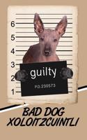 Bad Dog Xoloitzcuintli: Blood Sugar Diet Diary Journal Log Notebook Featuring 120 Pages 6x9