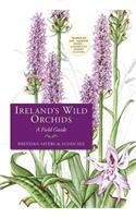 Ireland's Wild Orchids