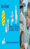 Small World Play