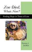 Zoe Died. What Now?: Finding Hope in Times of Loss