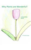 Why Plants are Wonderful?