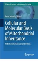 Cellular and Molecular Basis of Mitochondrial Inheritance