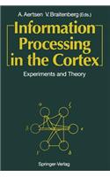 Information Processing in the Cortex